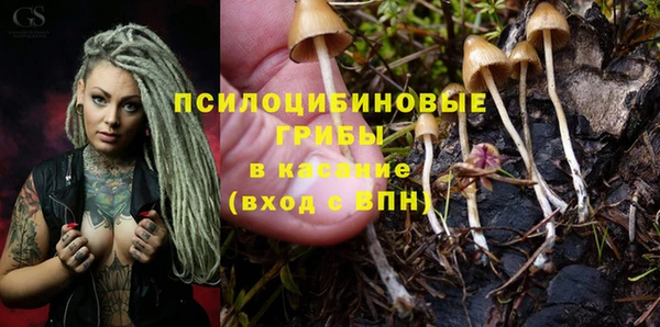экстази Богородск
