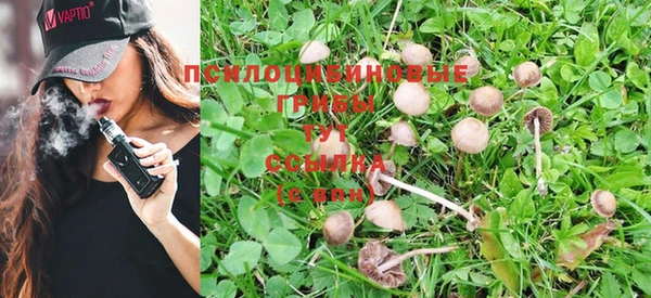 круглые Бородино