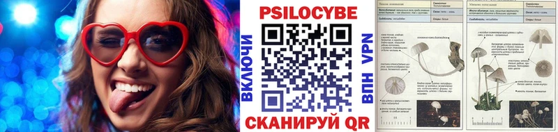 Галлюциногенные грибы Psilocybine cubensis  Купить где  Минеральные Воды 